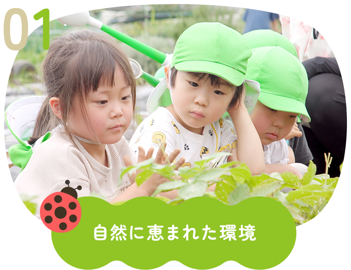 自然に恵まれた環境